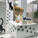 La Óptica de Antonio. Si yo tuviera una escoba