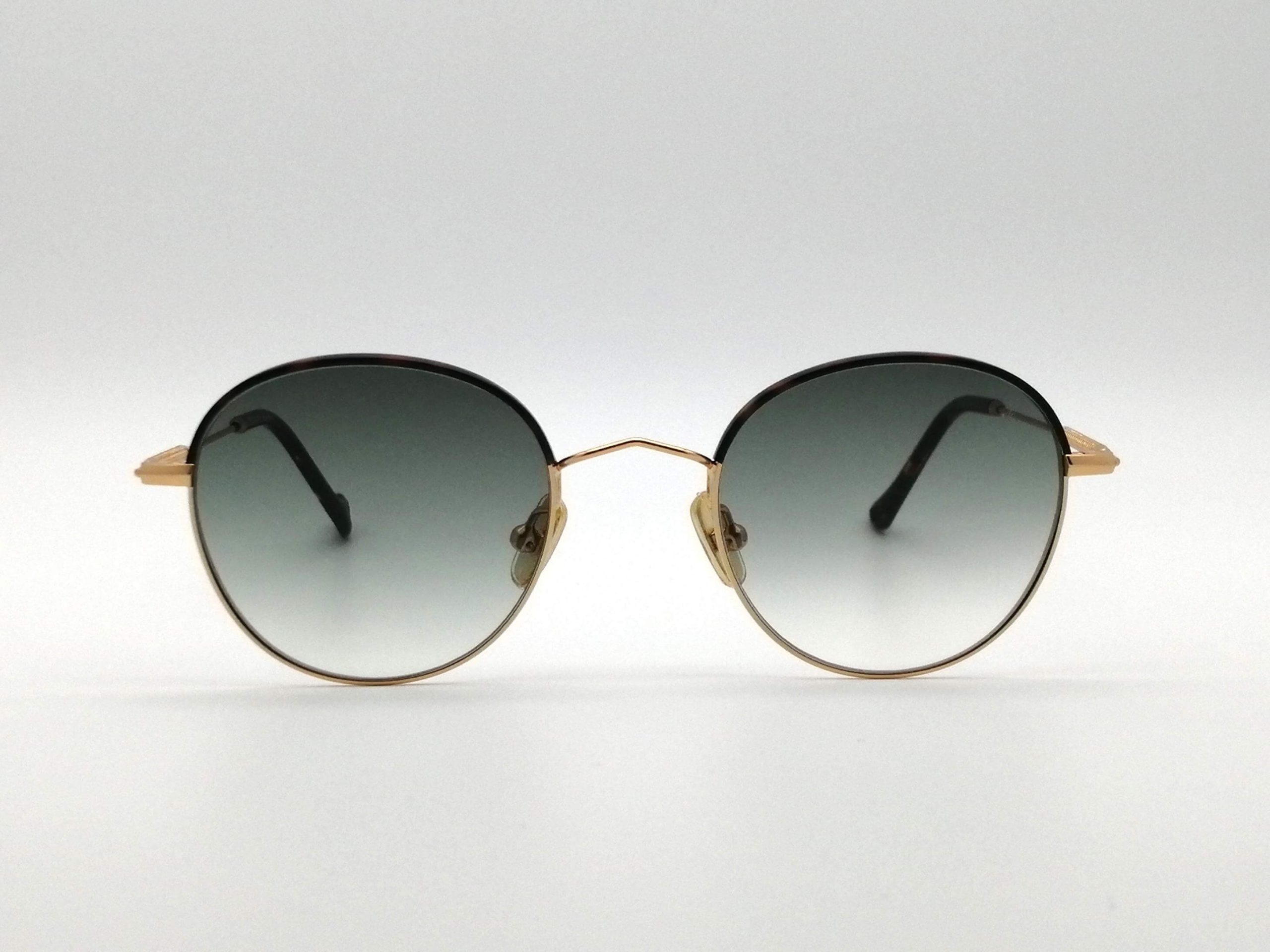 Modelo Gobi de Eyepetizer