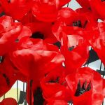 La Óptica de Antonio. Mago de Oz