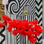 La Óptica de Antonio. Mago de Oz