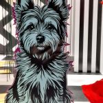 La Óptica de Antonio. Mago de Oz